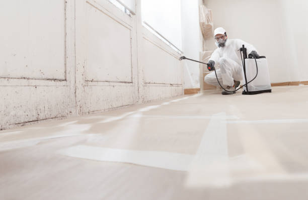 24/7 Emergency Commercial Mold Remediation experts in Hatfield, PA